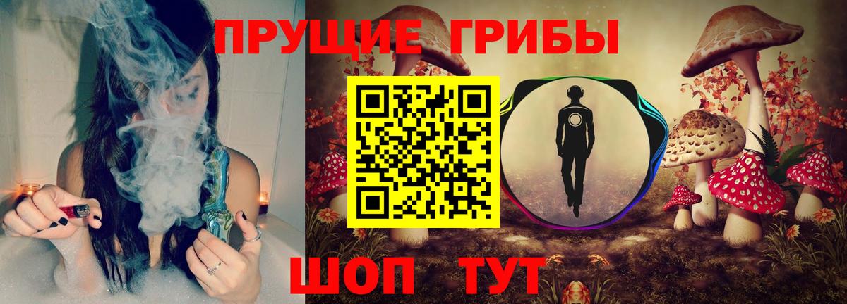 продажа наркотиков  Псилоцибиновые грибы прущие грибы  Псилоцибиновые грибы ЛСД  Вход с VPN  Сердобск 